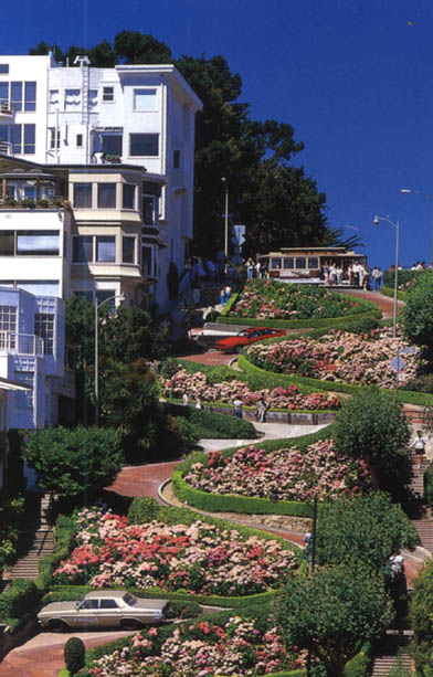 Lombard Street